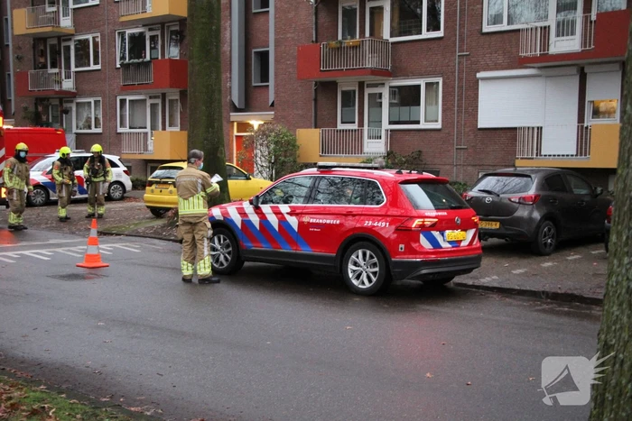 nieuws dillenburg weert