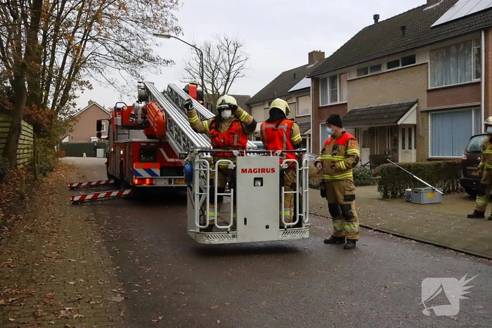 Brandweer ingezet voor kat in de boom