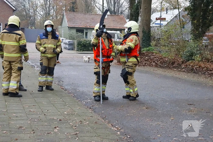 Brandweer ingezet voor kat in de boom
