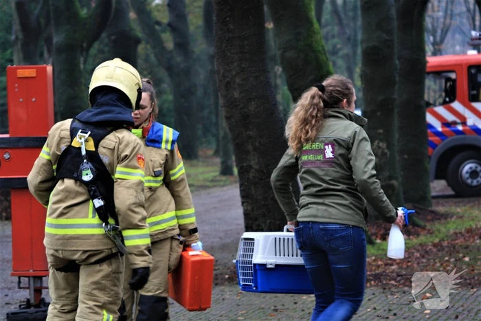 nieuws linnaeuslaan harderwijk
