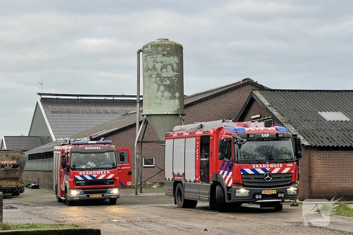 Drie pinken vallen in gierput