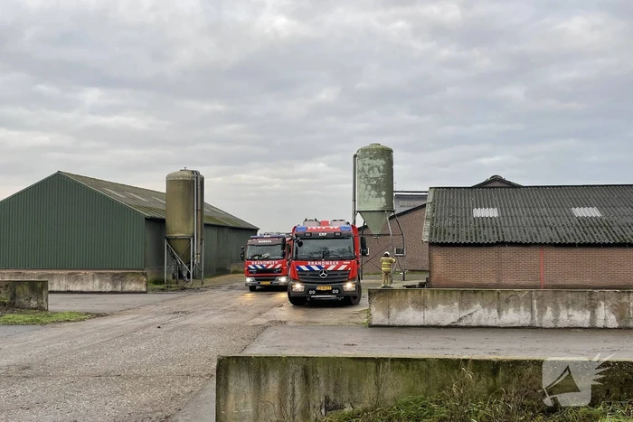 Drie pinken vallen in gierput