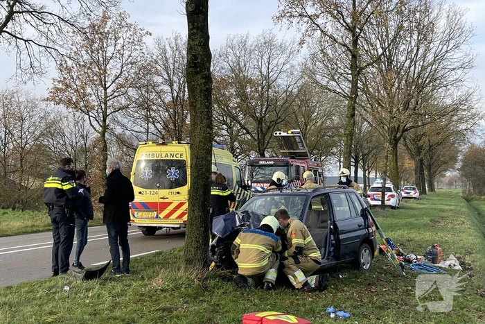 Auto botst frontaal op boom