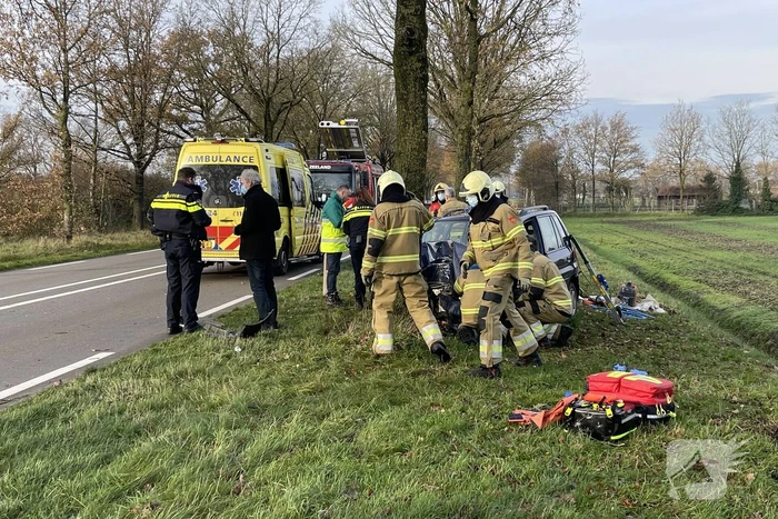 Auto botst frontaal op boom