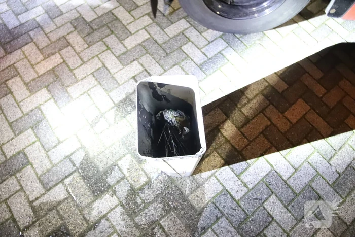 Prullenbak geblust met twee emmers water