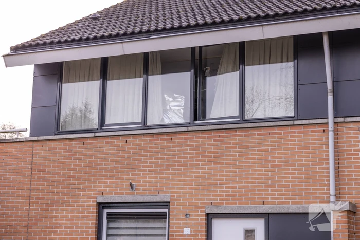 Hennepkwekerij in woning Kattenbroek aangetroffen
