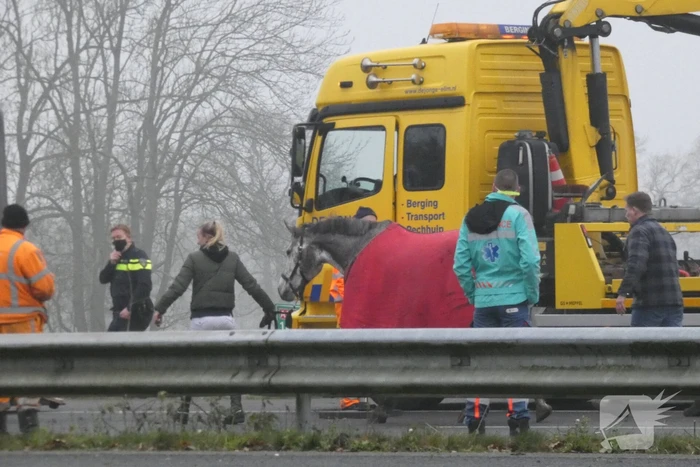ongeval rijksweg a28 pesse