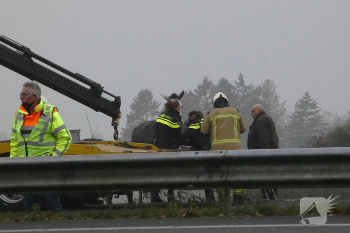 Paardentrailer belandt in sloot naast snelweg