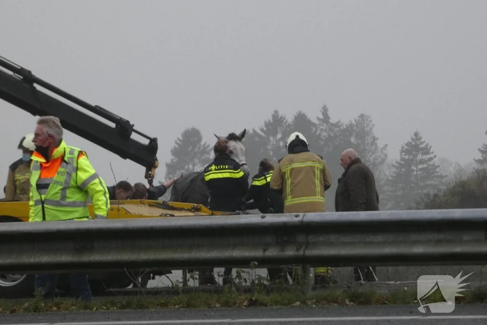 Paardentrailer belandt in sloot naast snelweg