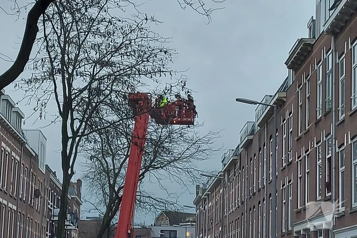 Persoon van dak gehaald