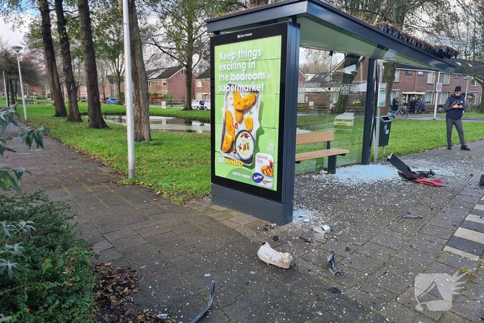 Auto en bushokje gesloopt