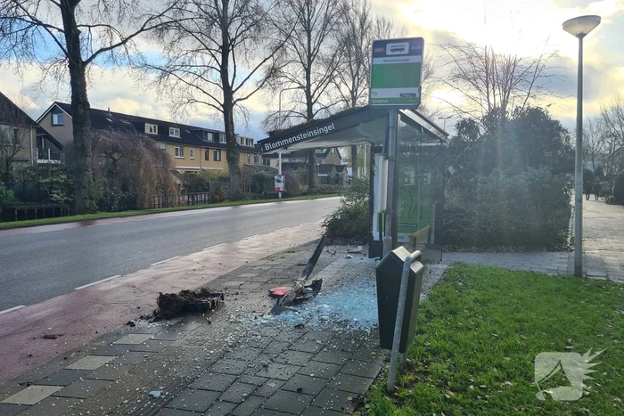 Auto en bushokje gesloopt