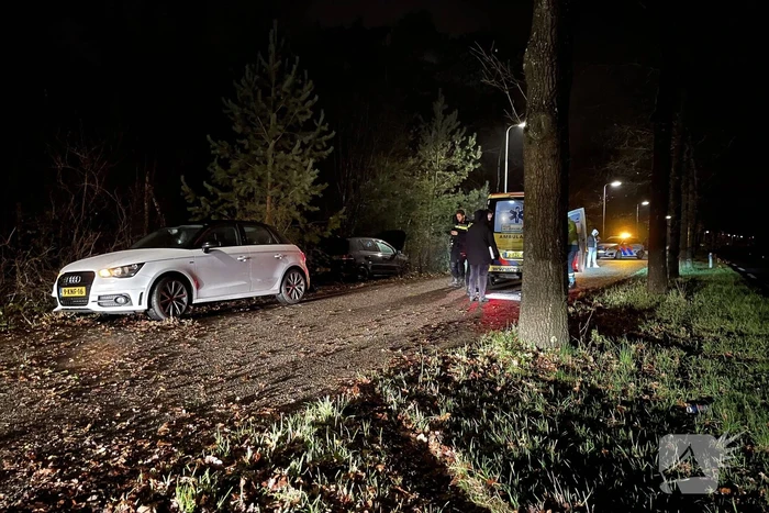 Bestuurder verliest macht over het stuur en rijdt in bosschage