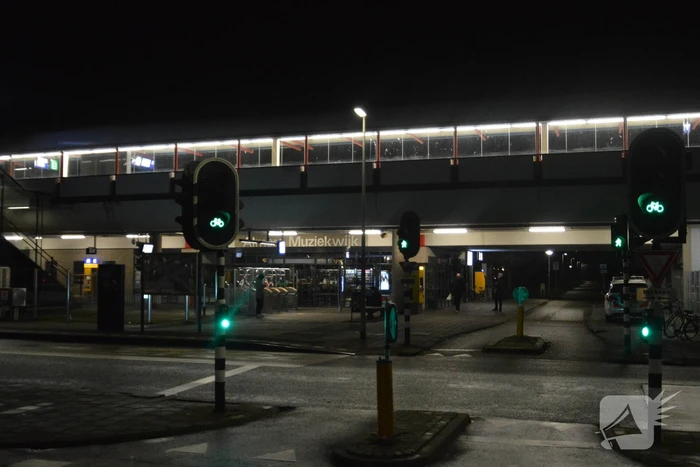 Treinverkeer ligt plat na aanrijding