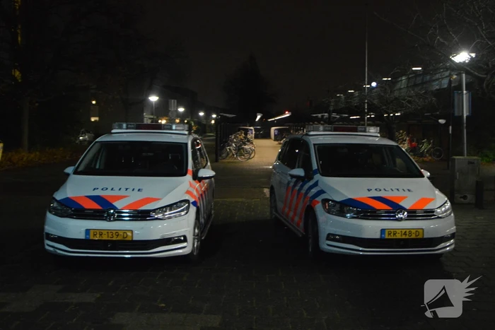 Treinverkeer ligt plat na aanrijding