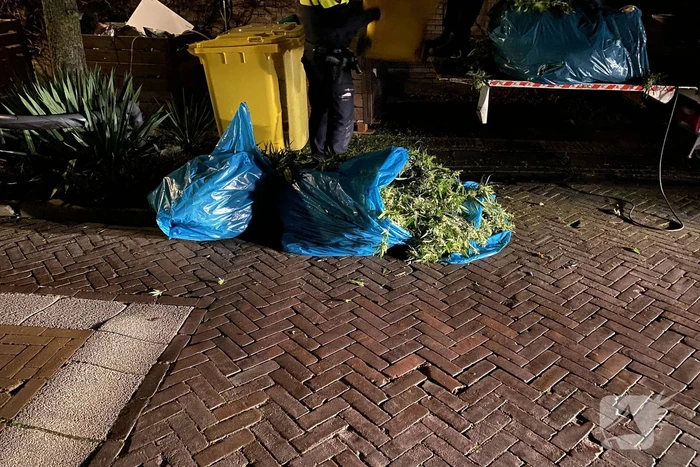 nieuws lobeliuslaan oegstgeest