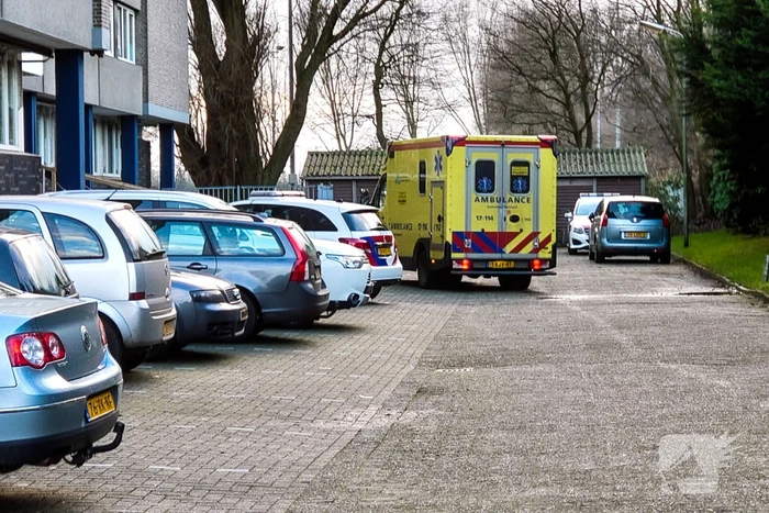 steekincident schulpweg rotterdam