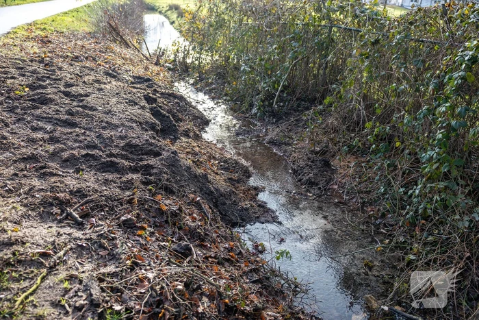 Waterleiding geraakt bij verwijderen van boom
