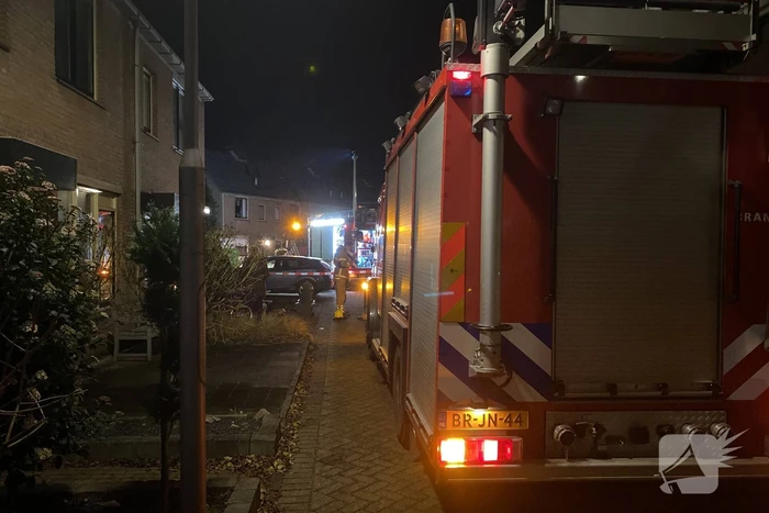nieuws zadelmaker oud-beijerland