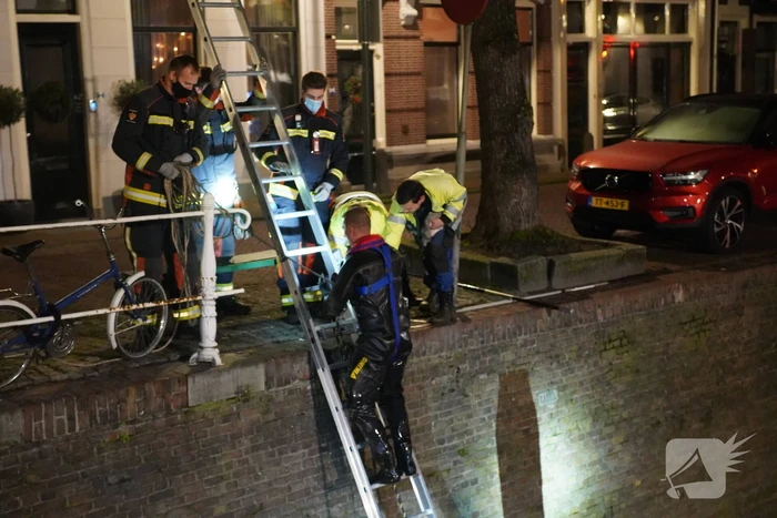 Brandweer redt kat uit het water
