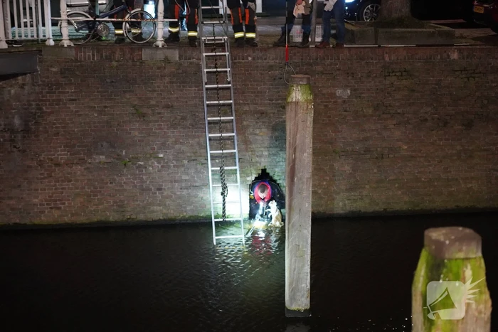 Brandweer redt kat uit het water