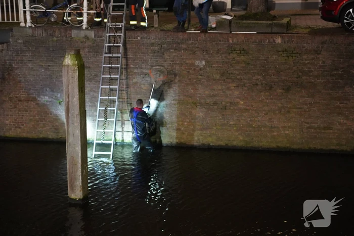 Brandweer redt kat uit het water