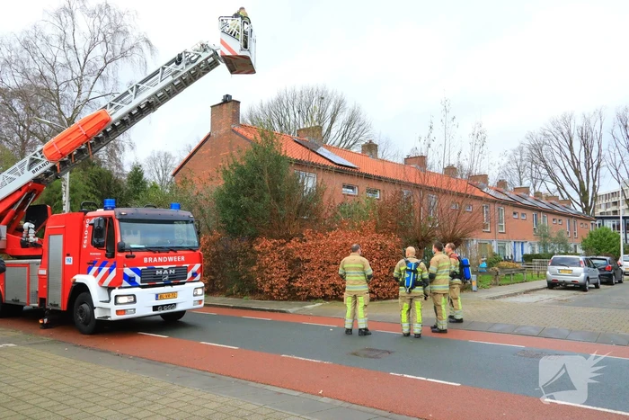 Veel bekijks bij schoorsteenbrand