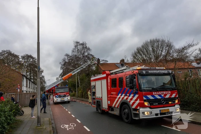 Veel bekijks bij schoorsteenbrand
