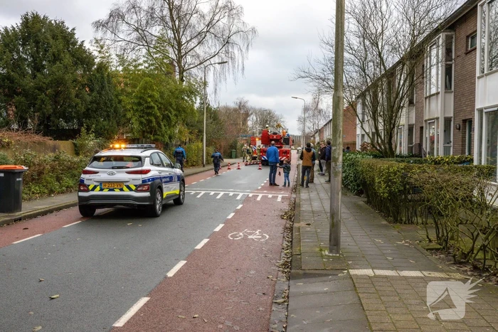 Veel bekijks bij schoorsteenbrand