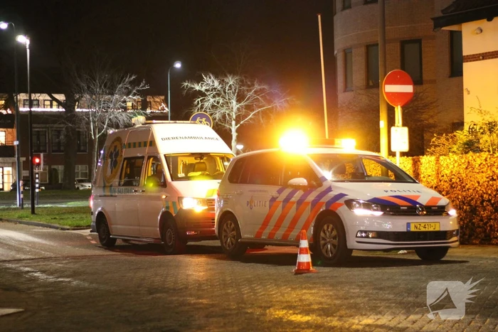 Voetganger met hond aangereden