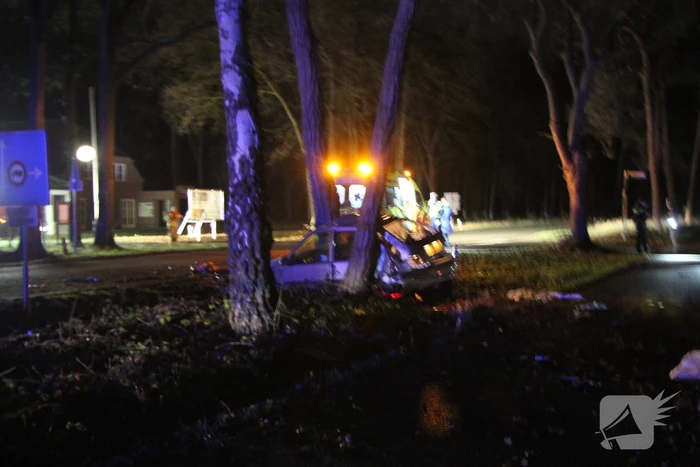 Auto knalt tegen lantaarnpaal en eindigt tegen een boom