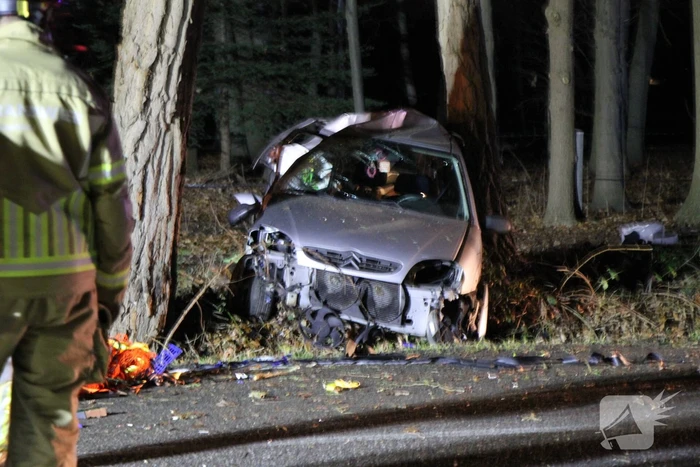 Auto knalt tegen lantaarnpaal en eindigt tegen een boom