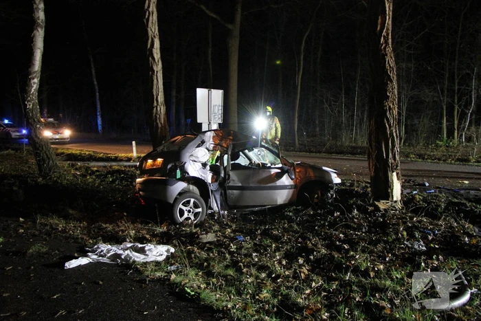 Auto knalt tegen lantaarnpaal en eindigt tegen een boom