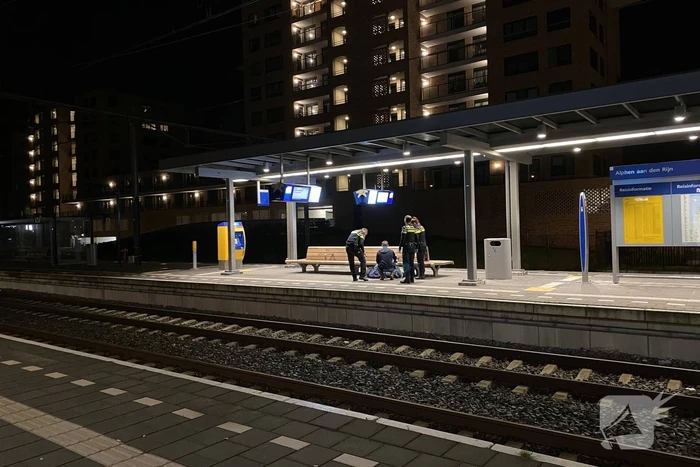 Politie doet meerdere aanhoudingen op NS-station
