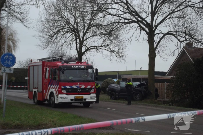 Pick-up truck eindigt tegen boom