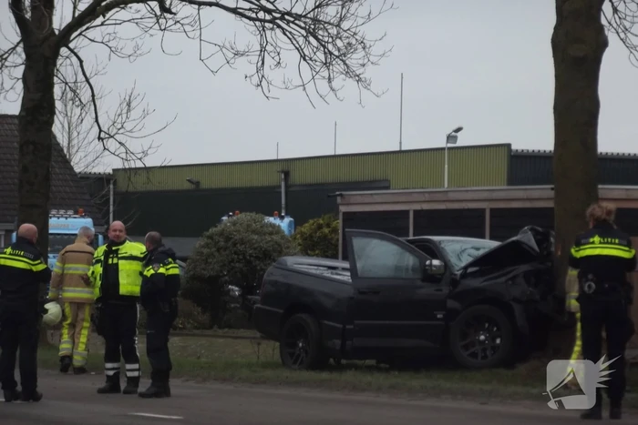 Pick-up truck eindigt tegen boom