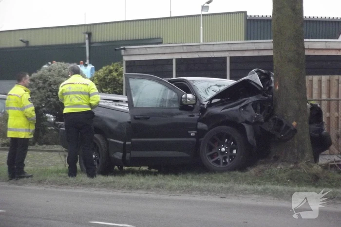 Pick-up truck eindigt tegen boom