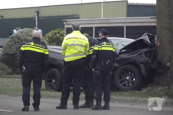 Pick-up truck eindigt tegen boom