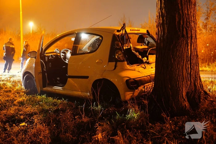 Auto achterstevoren tegen boom