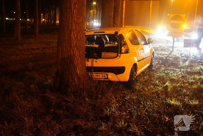 Auto achterstevoren tegen boom