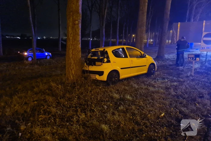 Auto achterstevoren tegen boom