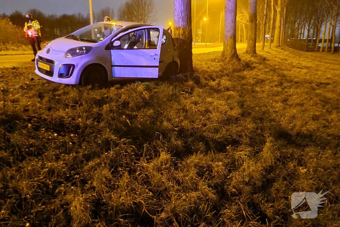 Auto achterstevoren tegen boom