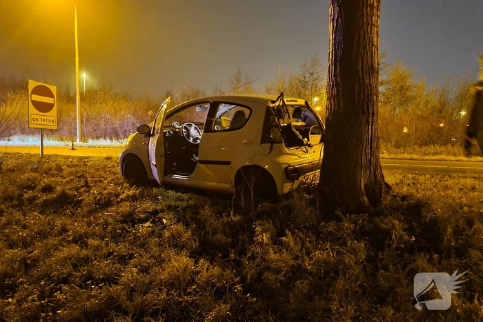 Auto achterstevoren tegen boom