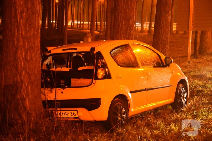 Auto achterstevoren tegen boom