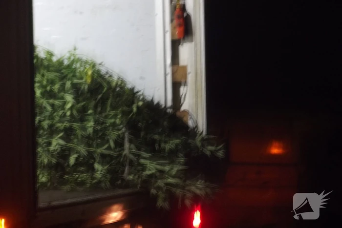 Mogelijke hennepkwekerij aangetroffen in bedrijfspand