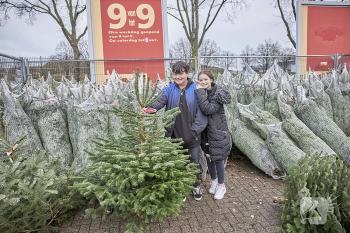 Op de valreep een kerstboom scoren