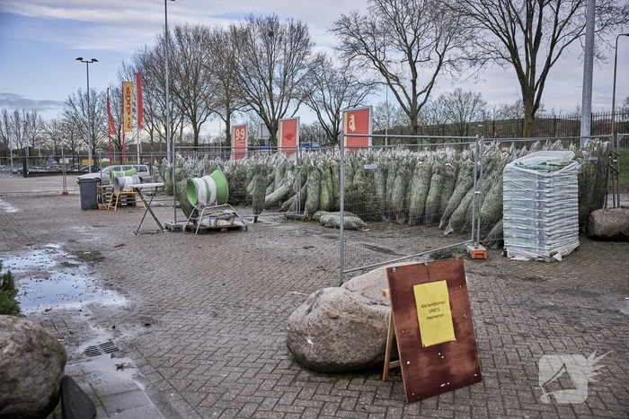 Op de valreep een kerstboom scoren