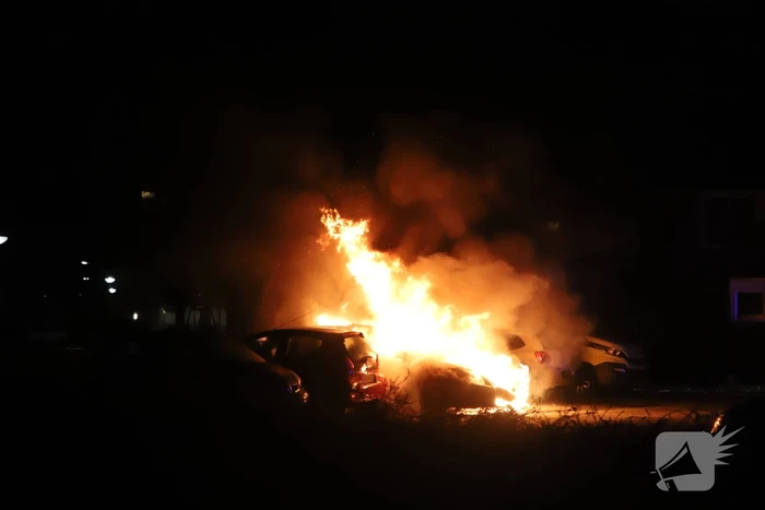 Twee auto's volledig uitgebrand