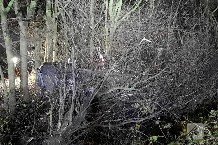 Auto uit de bocht gevlogen en in bosjes geëindigd