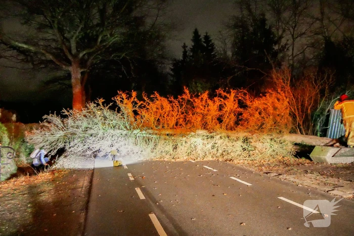 Omgewaaide boom blokkeert doorgaande weg